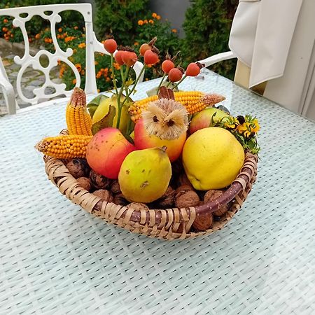 מלון קמפולונג Casa Continentelor מראה חיצוני תמונה