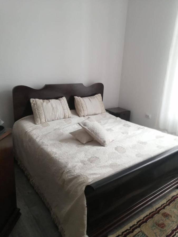 מלון קמפולונג Casa Continentelor מראה חיצוני תמונה