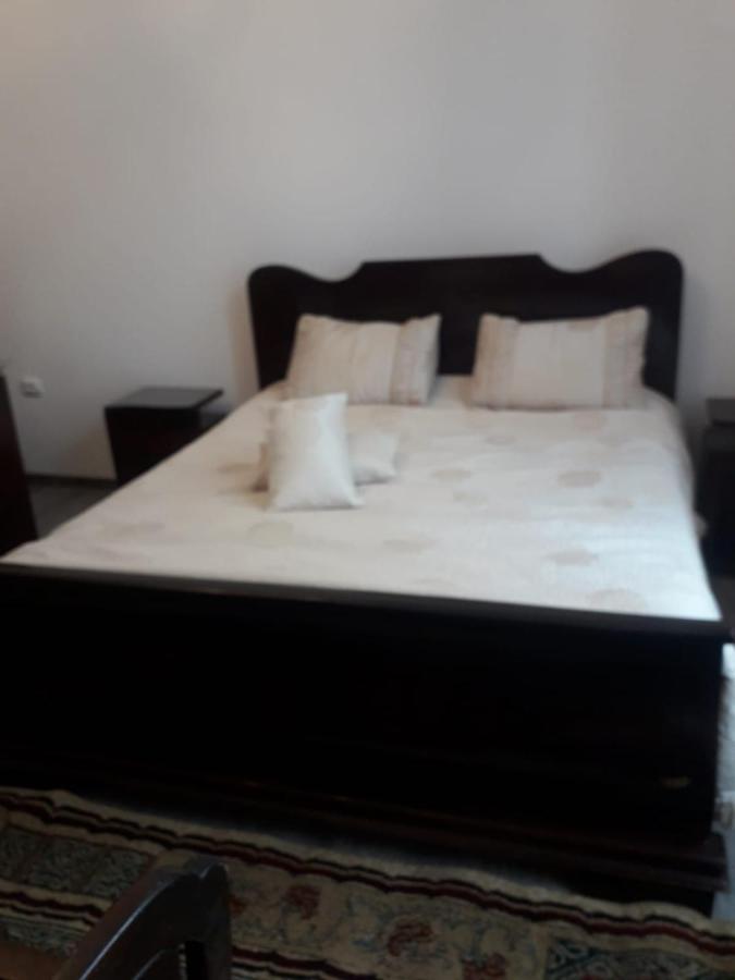 מלון קמפולונג Casa Continentelor מראה חיצוני תמונה