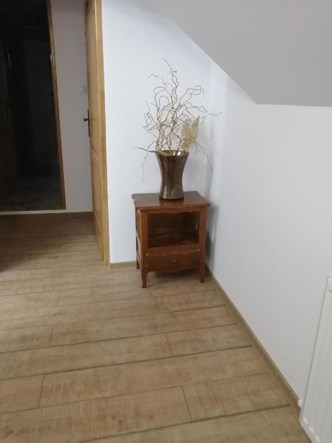 מלון קמפולונג Casa Continentelor מראה חיצוני תמונה