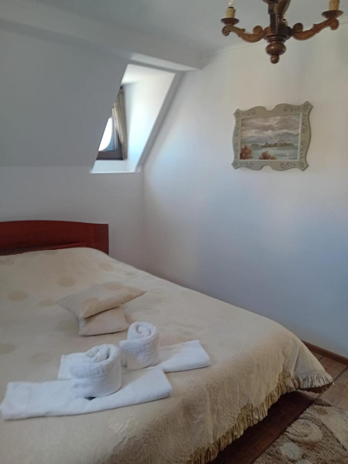 מלון קמפולונג Casa Continentelor מראה חיצוני תמונה