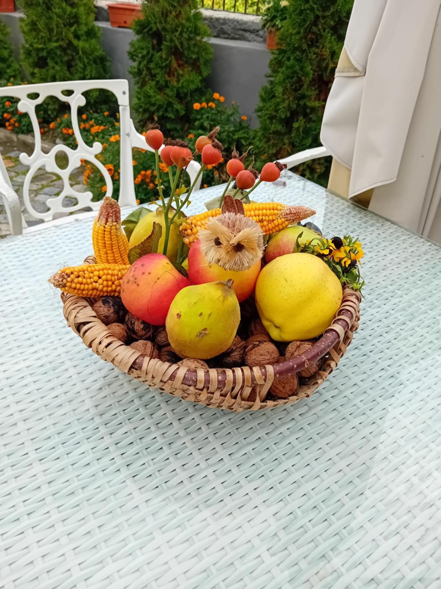 מלון קמפולונג Casa Continentelor מראה חיצוני תמונה